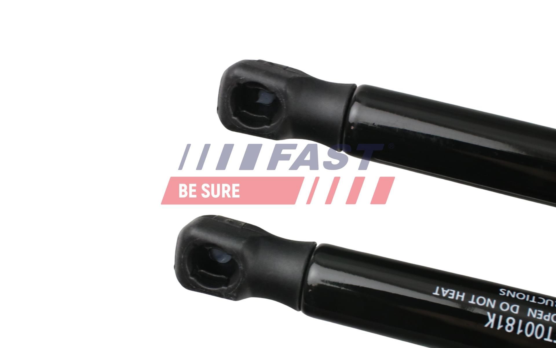 FAST Ammortizatore pneumatico, Cofano bagagli / vano carico FT00184 FT00184 costo Pistoni portellone FIAT 500 FAST