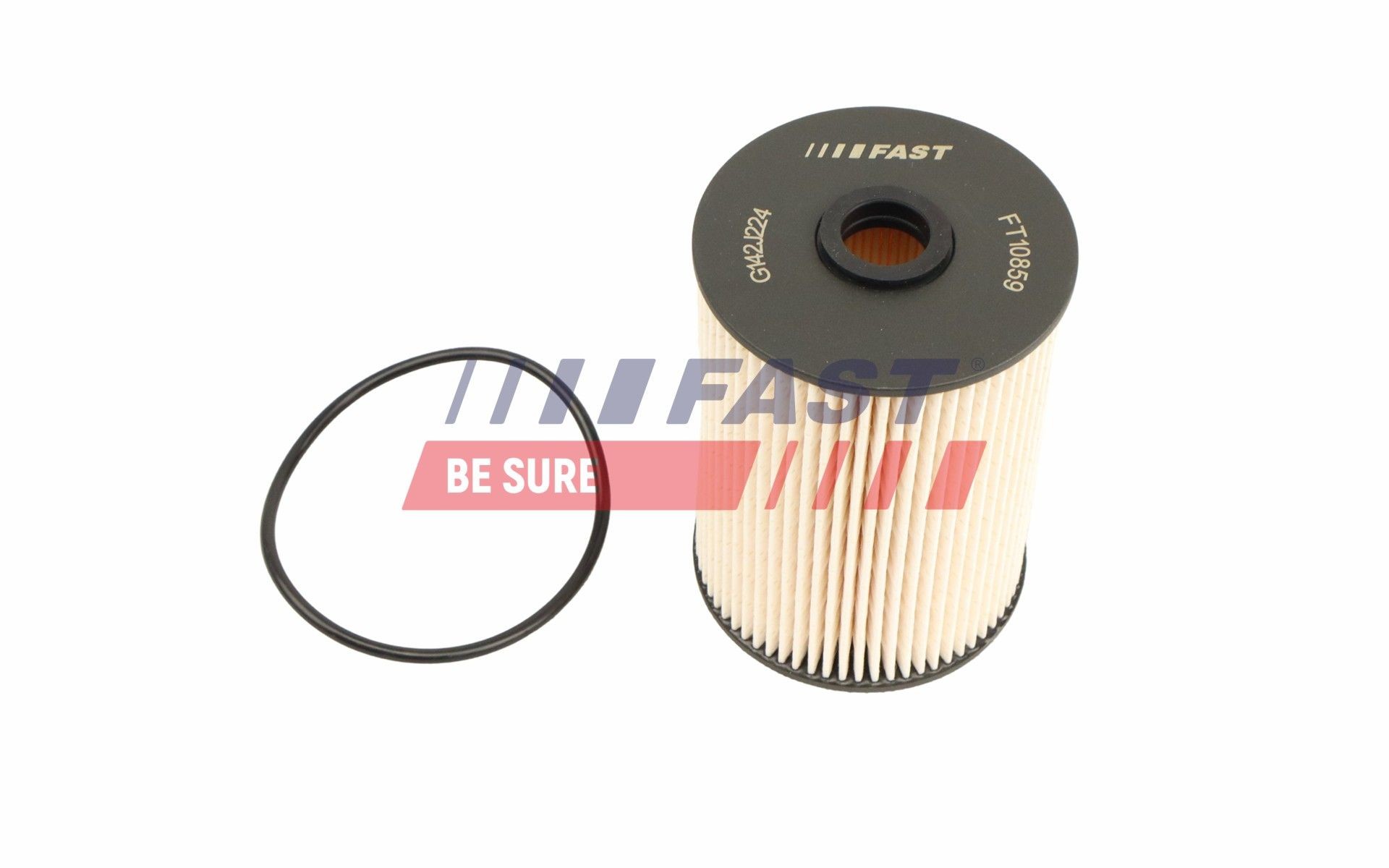 FAST Filtro de combustível FT10859 FAST FT10859 Filtro de combustível NISSAN X-TRAIL custo