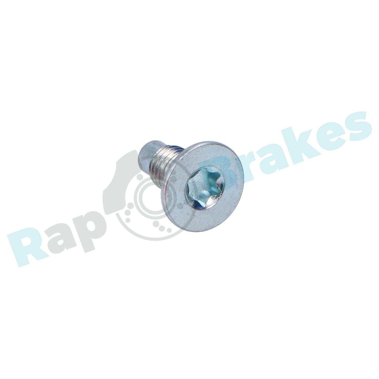 RAP BRAKES Kruvi, piduriketas R-Z0176 RAP BRAKES R-Z0176 Kruvi, piduriketas Touran 1t3 hind