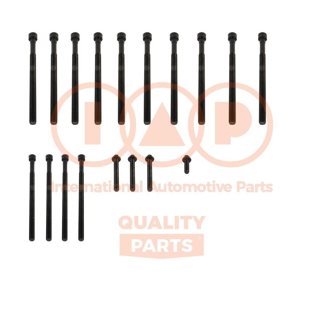 IAP QUALITY PARTS Topbolte-sæt 119-51031 Topstykkebolt IAP QUALITY PARTS Audi A1 119-51031