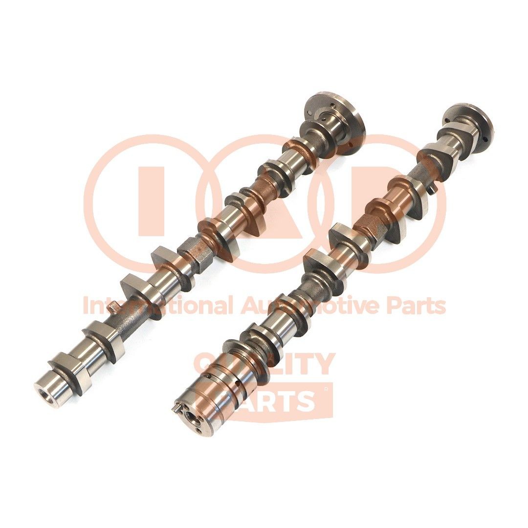 Kamaxelsats IAP QUALITY PARTS 124-03098K IAP QUALITY PARTS 124-03098K Kamaxel DAIHATSU TERIOS 2009