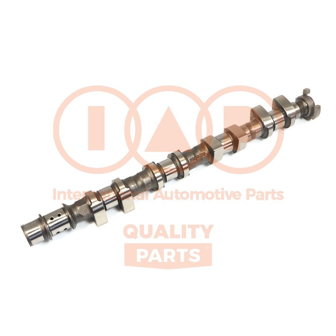 IAP QUALITY PARTS Εκκεντροφόρος άξονας 124-20100 IAP QUALITY PARTS Εκκεντροφόρος άξονας MERCEDES-BENZ 124-20100