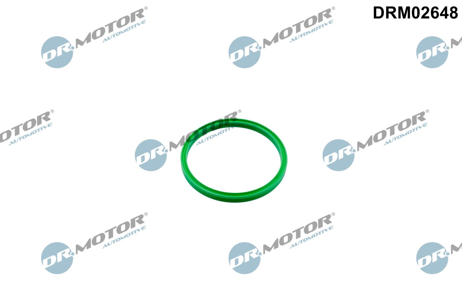DR.MOTOR AUTOMOTIVE Dichtring, laadluchtslang DRM02648 DR.MOTOR AUTOMOTIVE DRM02648 originele Dichtring, laadluchtslang Ford B-Max JK kosten