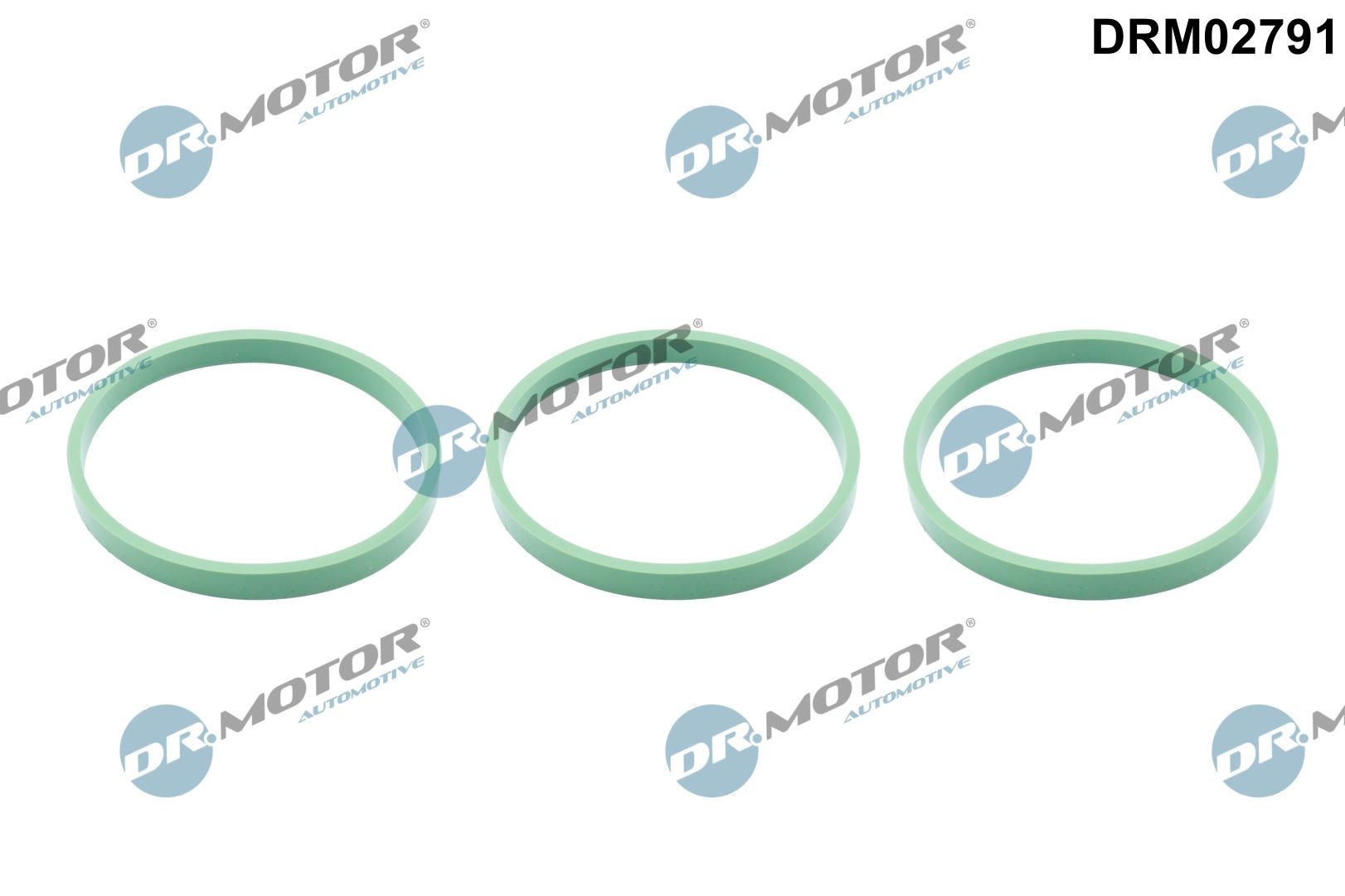 DR.MOTOR AUTOMOTIVE Τσιμούχα, πολλαπλή εισαγωγής DRM02791 DR.MOTOR AUTOMOTIVE DRM02791 Τσιμούχα, πολλαπλή εισαγωγής AUDI Q7 (4MB) SQ7 quattro 421 PS 2020