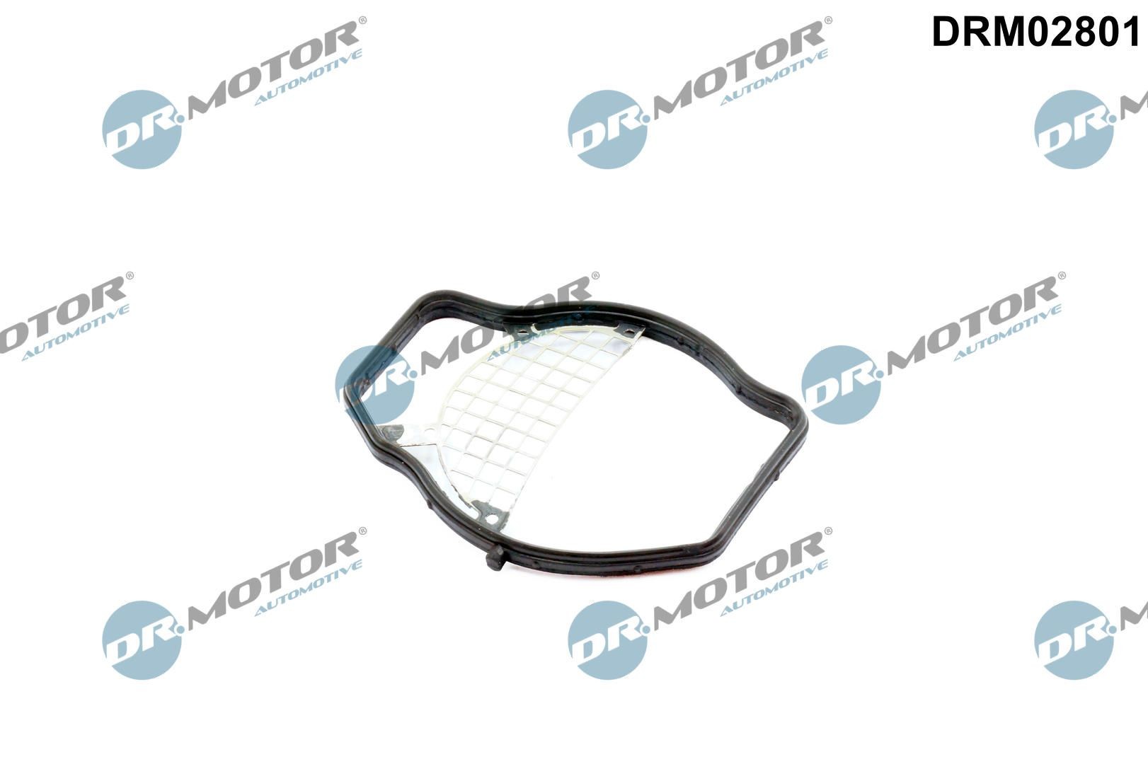 DR.MOTOR AUTOMOTIVE Τσιμούχα, στήριγμα πεταλούδας γκαζιού DRM02801 DR.MOTOR AUTOMOTIVE DRM02801 Στόμιο πεταλούδας γκαζιού Jaguar XK γνήσια