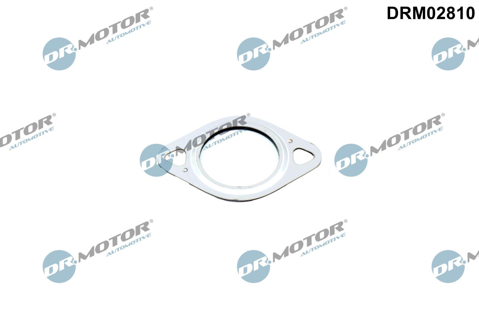 DR.MOTOR AUTOMOTIVE Tiiviste, EGR-venttiilin johdin DRM02810 DR.MOTOR AUTOMOTIVE DRM02810 RENAULT DUSTER egr tiiviste