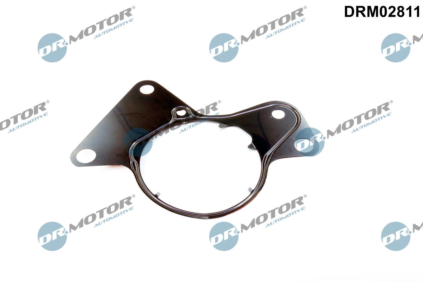 DR.MOTOR AUTOMOTIVE Packning, bränslepump DRM02811 DRM02811 DR.MOTOR AUTOMOTIVE soppapump FORD S-MAX
