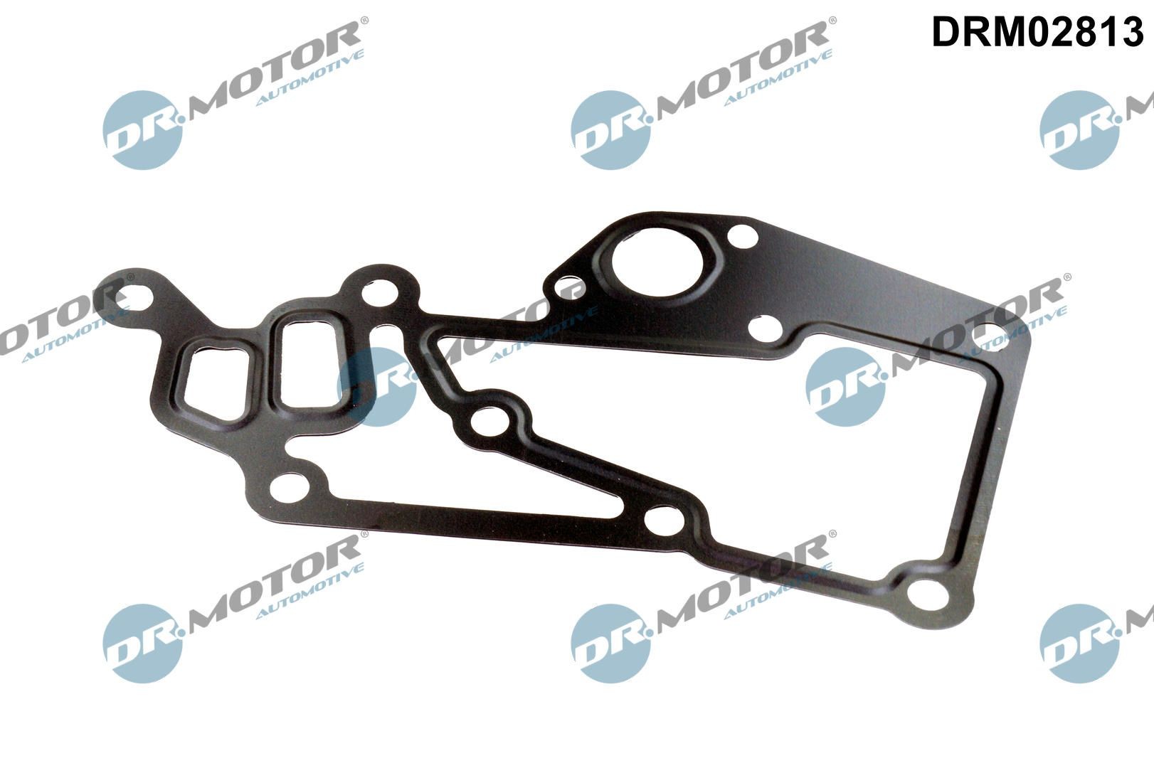 Tesnenie obalu termostatu DR.MOTOR AUTOMOTIVE DRM02813 DR.MOTOR AUTOMOTIVE DRM02813: Tesnenie termostatu Citroen C4 2012