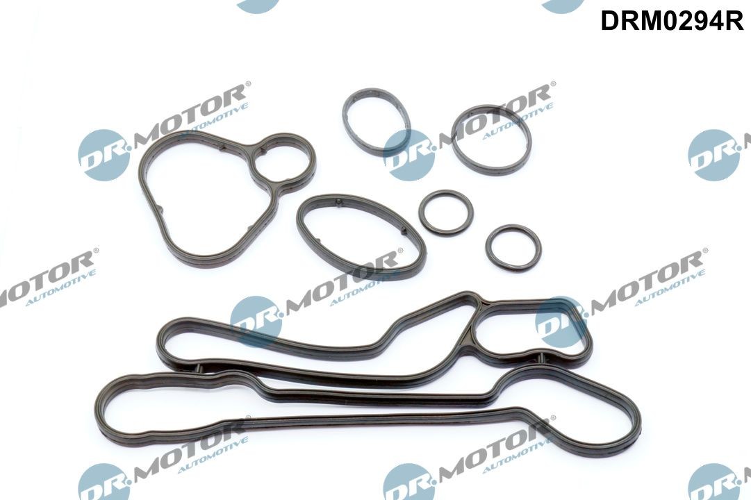 DR.MOTOR AUTOMOTIVE Tihendikomplekt,õliradiaator DRM0294R Õlijahuti tihend DR.MOTOR AUTOMOTIVE Fiat PUNTO DRM0294R