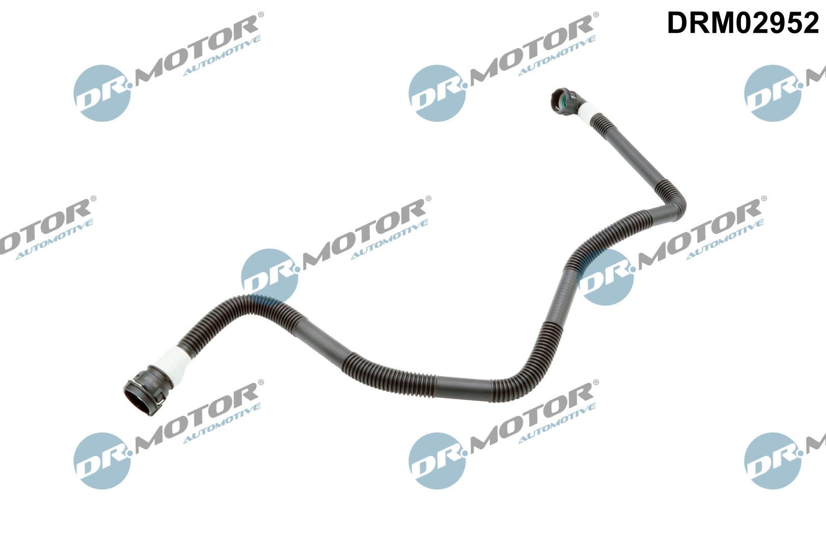 DR.MOTOR AUTOMOTIVE Hadica chladenia DRM02952 Chladičové hadice DR.MOTOR AUTOMOTIVE Audi Q3 DRM02952