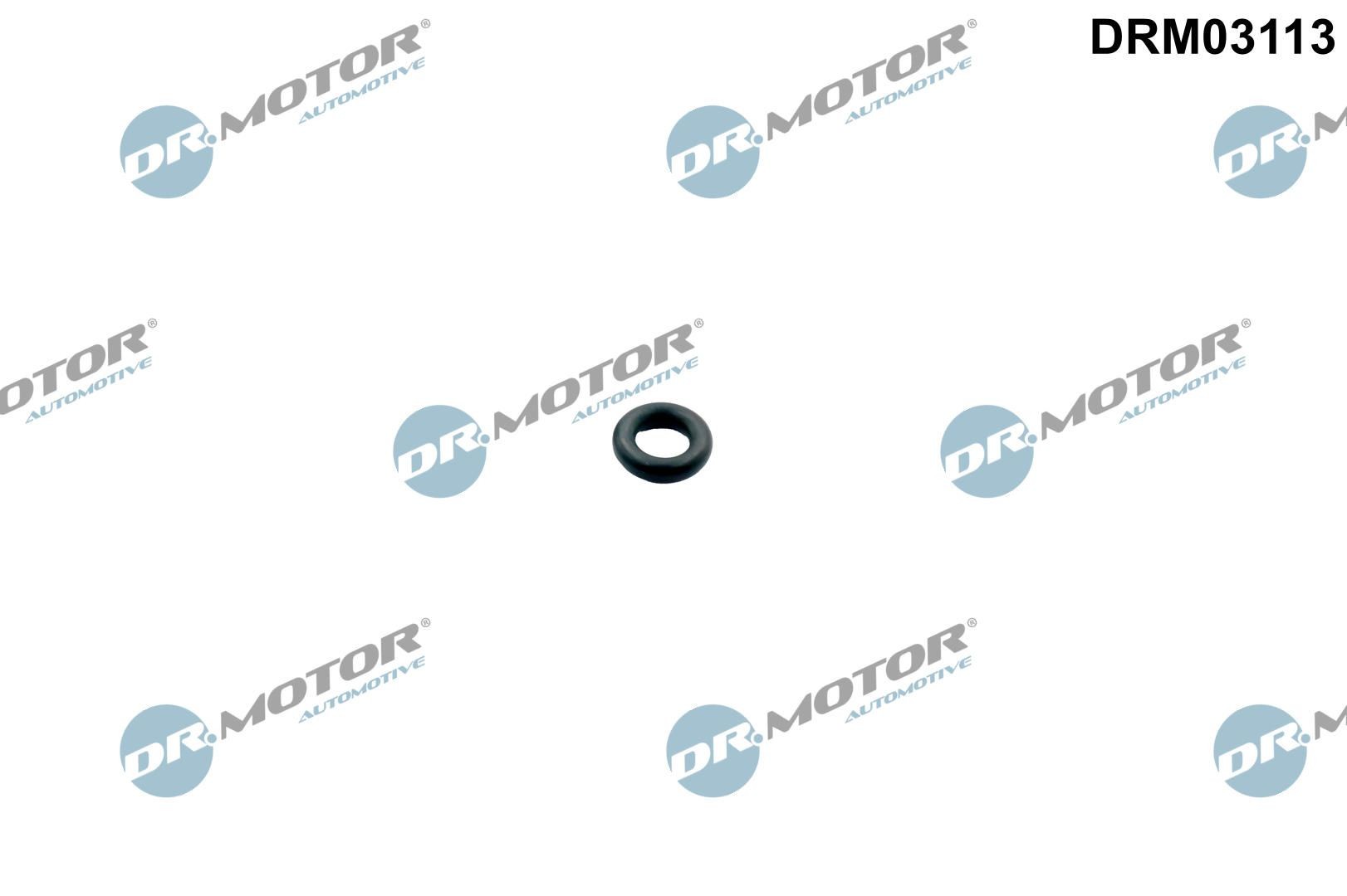 DR.MOTOR AUTOMOTIVE Rõngastihend, sissepritseklapp DRM03113 DR.MOTOR AUTOMOTIVE DRM03113 Rõngastihend sissepritseklapp Corvette C5 Cabrio hind