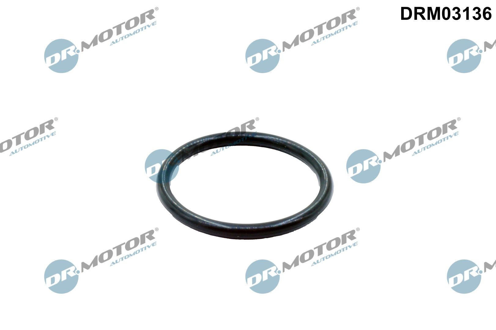 DR.MOTOR AUTOMOTIVE Anello di tenuta DRM03136 DR.MOTOR AUTOMOTIVE DRM03136 Tubi radiatore INFINITI Q45 (F50) originali prezzo