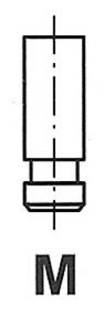 FRECCIA Pakoventtiili R3725/RCR FRECCIA R3725/RCR E-sarja Sedan (W214) pakoventtiili hinta
