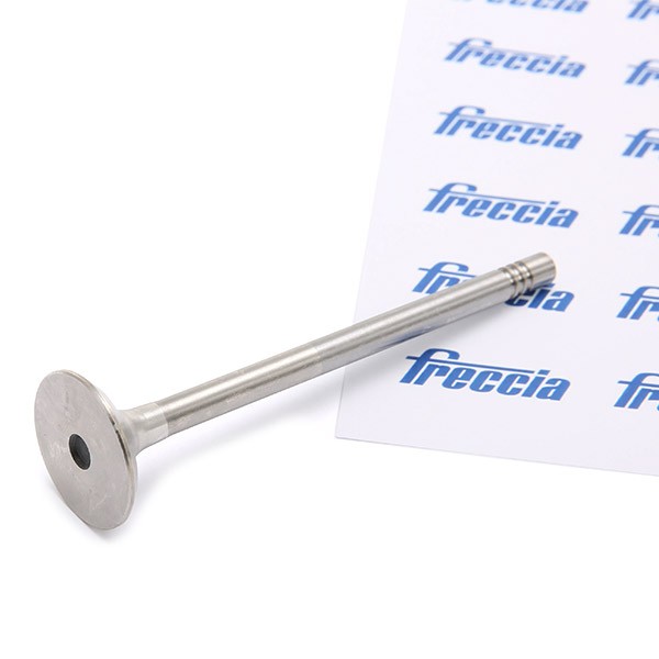 FRECCIA Väljalaskeventiil R6014/BM R6014/BM Väljalaskeventiil AUDI A4 FRECCIA