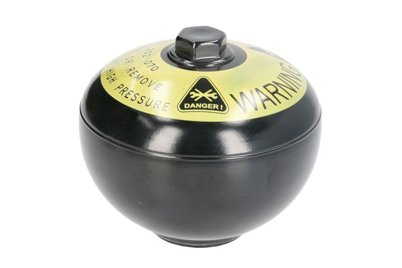 BOSCH Trykakkumulator, bremsesystem 0 265 202 070 BOSCH 0 265 202 070 originale Audi Quattro 85 Trykakkumulator, bremsesystem hvad koster