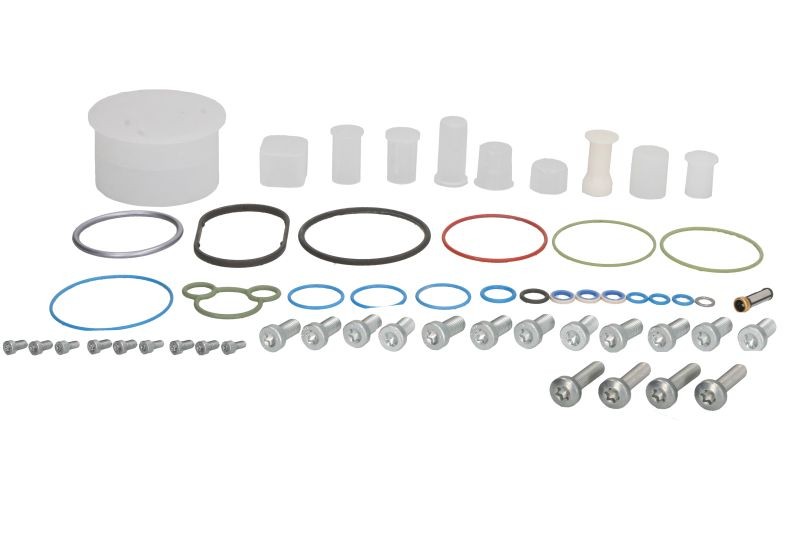 BOSCH Kit riparazione, Pompa carburante F 01M 102 389 F 01M 102 389 costo Kit riparazione pompa carburante BOSCH KIA OPTIMA