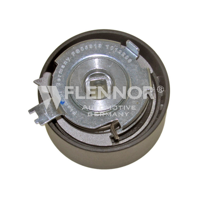 FLENNOR Rolo tensor, correia dentada FS05919 FS05919 Rolo tensor, correia dentada RENAULT DUSTER FLENNOR