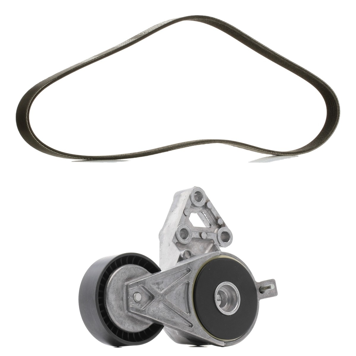 RIDEX PLUS Ozubený klinový remeň - Sada 542R0664P Sada klinového rebrovaného remena RIDEX PLUS LEON 542R0664P lacné