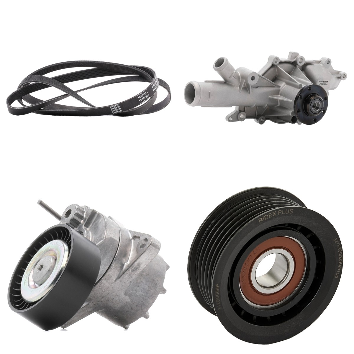 RIDEX PLUS Vannpumpe + kileremsett 4172P0125P RIDEX PLUS Multireim sett TOYOTA 4172P0125P