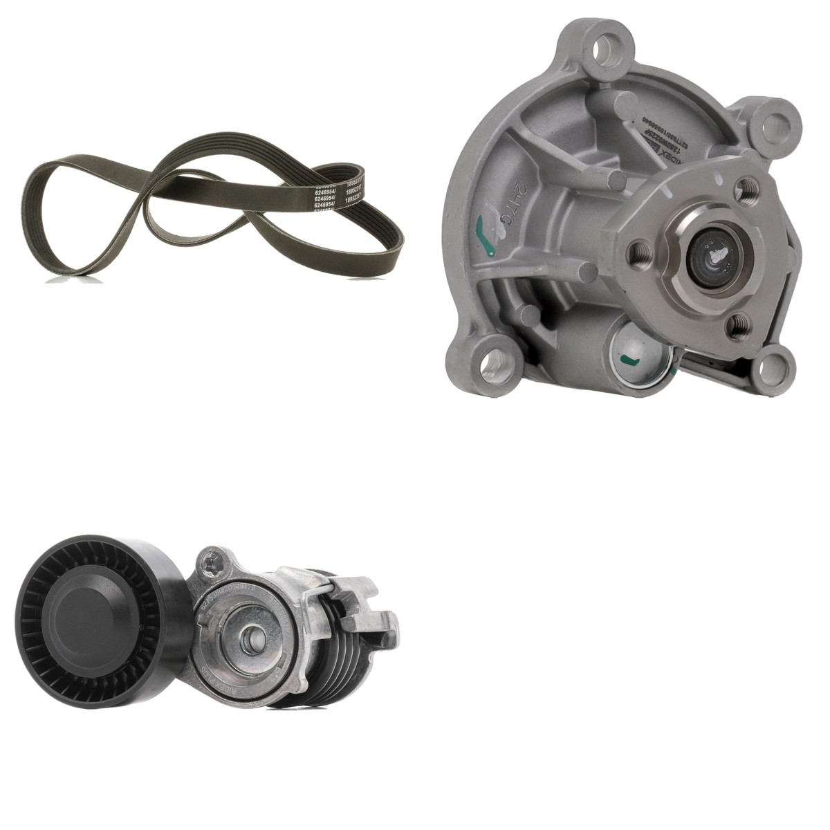RIDEX PLUS Αντλία νερού + σετ ιμάντων poly-V 4172P0131P 4172P0131P Σετ ιμάντων poly-v Volkswagen VENTO RIDEX PLUS