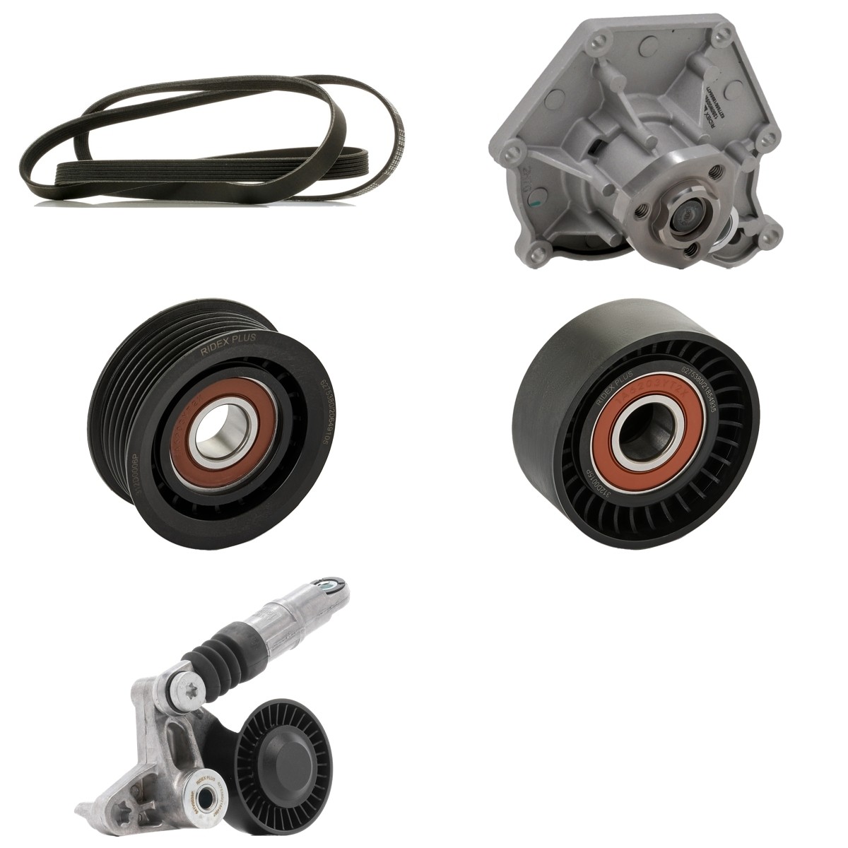 RIDEX PLUS Vandpumpe + kileremssæt 4172P0166P Multiremsæt RIDEX PLUS AVENSIS 4172P0166P billig