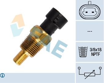 FAE Sensore temperatura olio 33340 FAE 33340 Sensore temperatura olio Chevrolet Corvette C5 Coupe originale prezzo