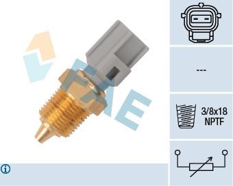 FAE Sensor, oljetemperatur 33425 FAE 33425 Oljetemperatur sensor Hyundai GALLOPER originale
