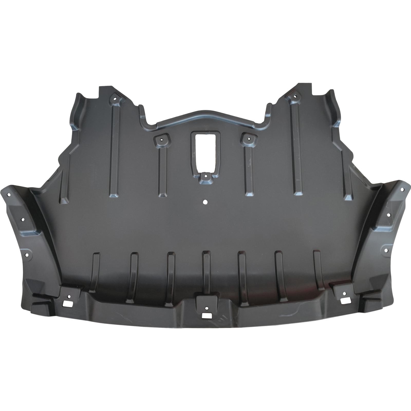 DIEDERICHS Cobertura do motor 8012950 Cobertura do motor BMW E71, E72 8012950 DIEDERICHS