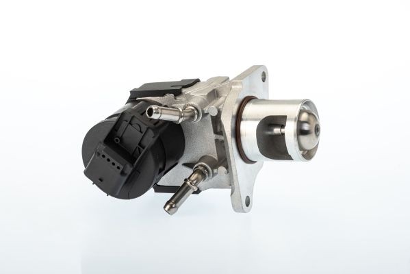 BorgWarner Izpl. gāzu recirkulācijas vārsts 710327D 710327D EGR vārsts BMW X6 BorgWarner