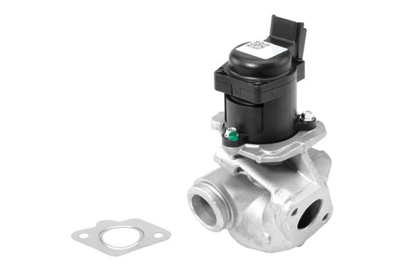 BorgWarner Izpl. gāzu recirkulācijas vārsts 710927R EGR vārsts BorgWarner X6 710927R lēti