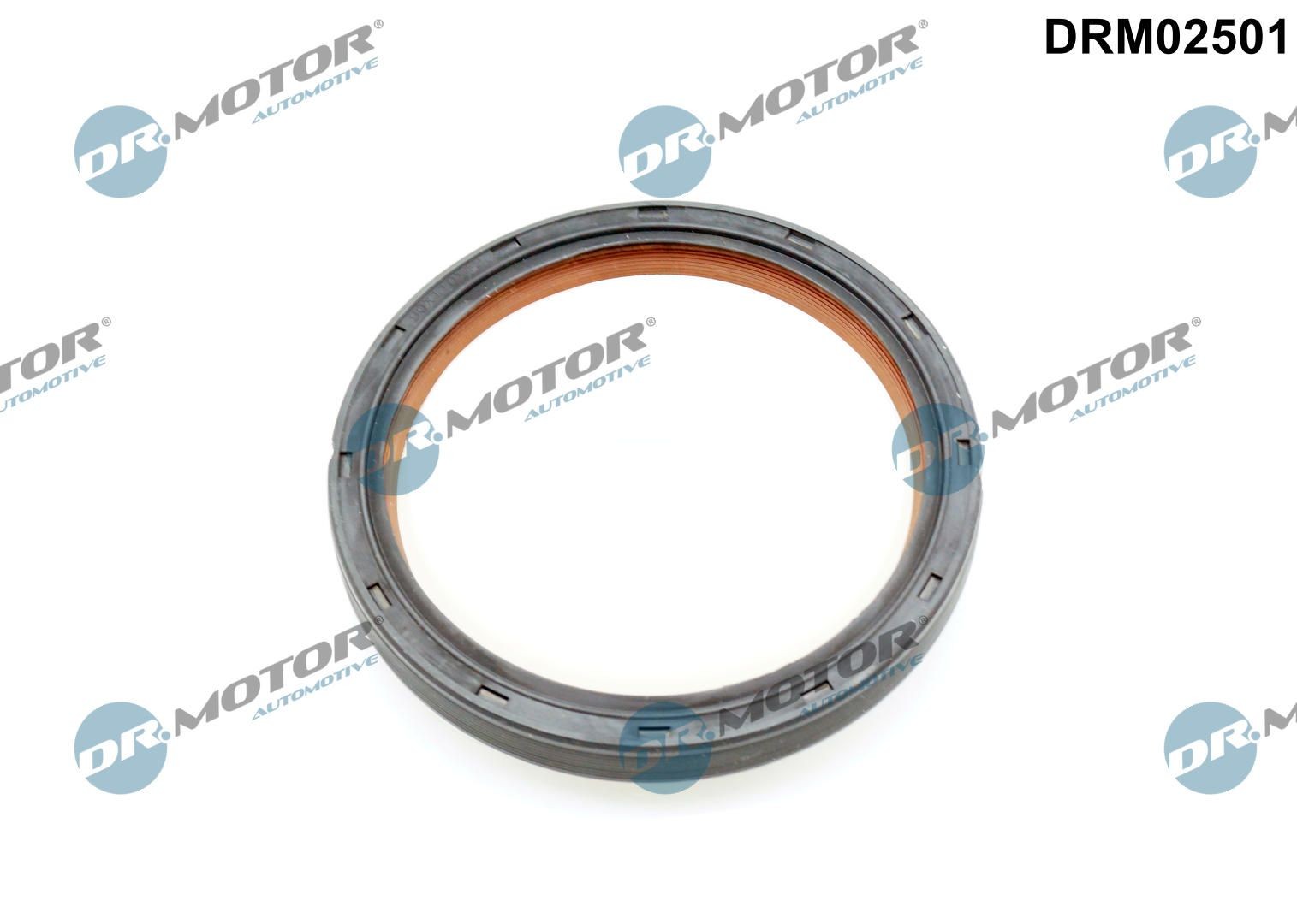 DR.MOTOR AUTOMOTIVE Retentor, cambota DRM02501 DR.MOTOR AUTOMOTIVE DRM02501 Retentor, cambota