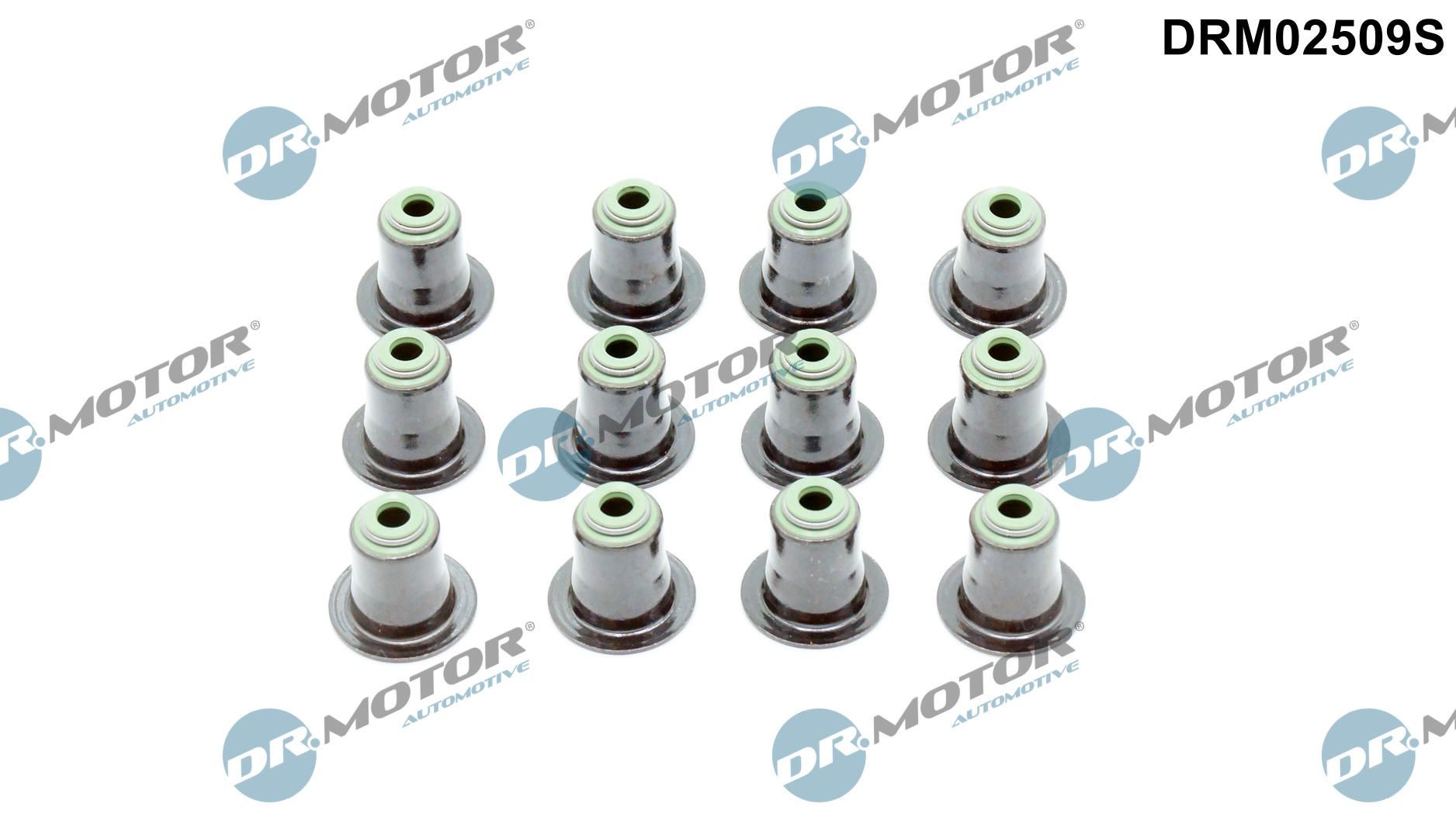 DR.MOTOR AUTOMOTIVE Σετ στεγανοπ., στέλεχος βαλβίδας DRM02509S DR.MOTOR AUTOMOTIVE DRM02509S Τσιμουχάκια βαλβίδων X5 (G05) τιμες