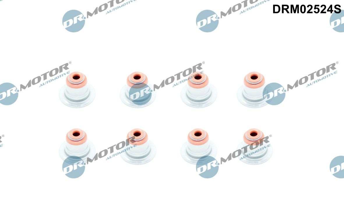 DR.MOTOR AUTOMOTIVE Kit guarnizioni, Stelo valvola DRM02524S DRM02524S Paraolio valvole DR.MOTOR AUTOMOTIVE Volkswagen POLO costo