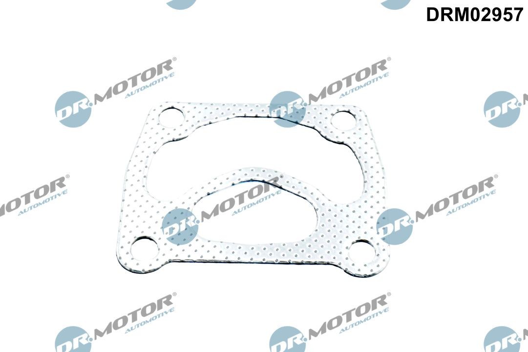 DR.MOTOR AUTOMOTIVE Guarnizione collettore scarico DRM02957 DRM02957 Guarnizione turbina TOYOTA URBAN CRUISER DR.MOTOR AUTOMOTIVE costo