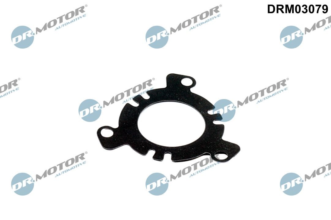 DR.MOTOR AUTOMOTIVE Pakning DRM03079 Pakning, indsprøjtningspumpe DR.MOTOR AUTOMOTIVE Nissan URVAN DRM03079