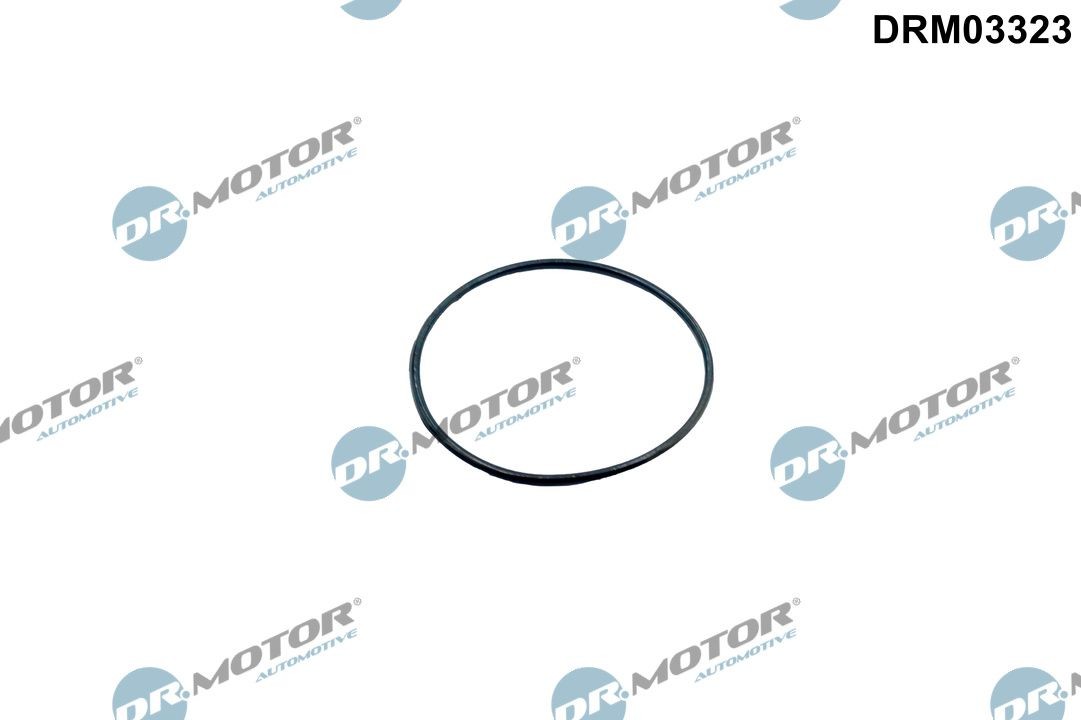DR.MOTOR AUTOMOTIVE Dichtung, Drosselklappe DRM03323 Drosselklappensteuereinheit DR.MOTOR AUTOMOTIVE Ford TRANSIT CONNECT DRM03323
