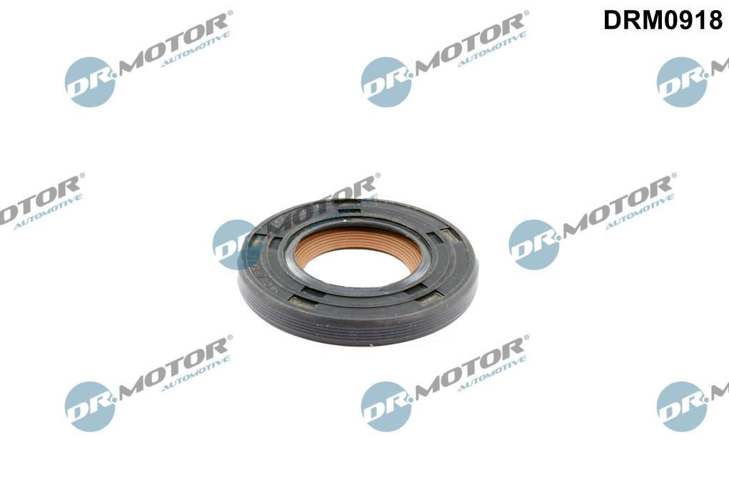 DR.MOTOR AUTOMOTIVE Retentor, árvore de cames DRM0918 DRM0918 Retentor da árvore de cames CHEVROLET MALIBU DR.MOTOR AUTOMOTIVE
