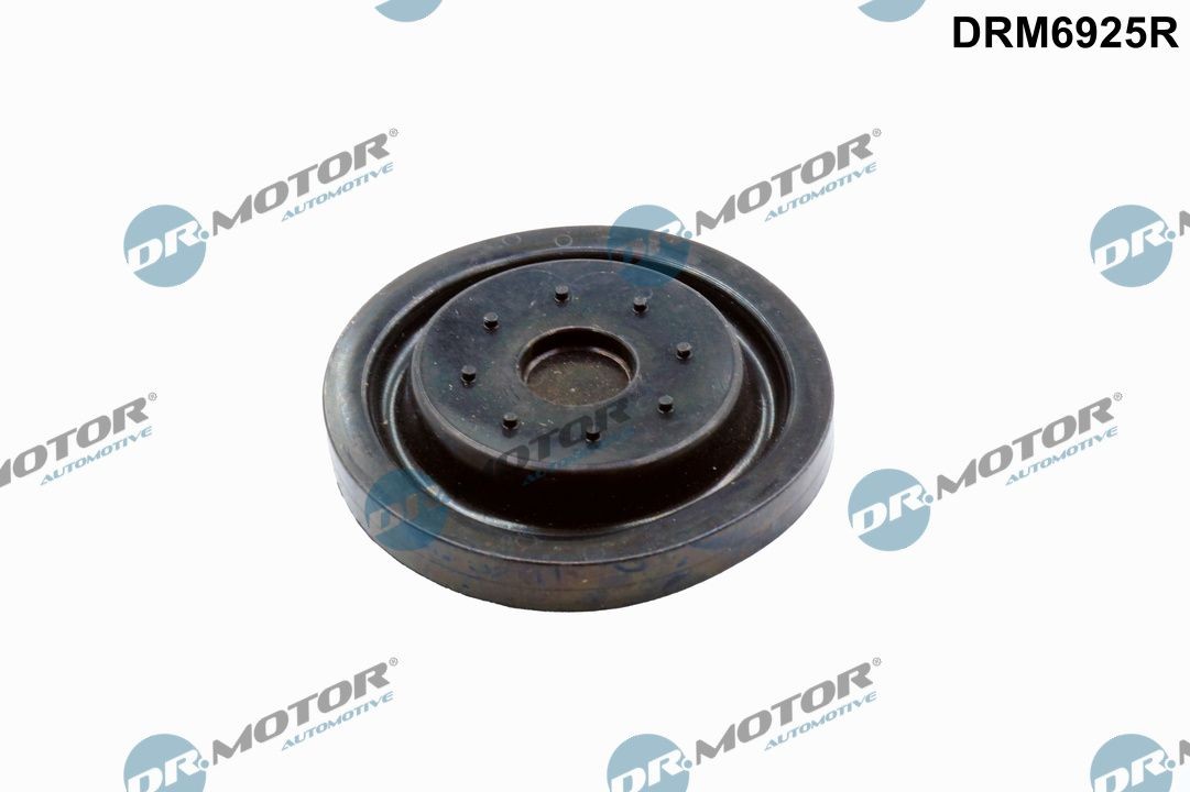 Reparasjonssett, veivhusventilator DR.MOTOR AUTOMOTIVE DRM6925R DR.MOTOR AUTOMOTIVE DRM6925R Ventil veivhusventilasjon FORD TRANSIT CUSTOM 2025
