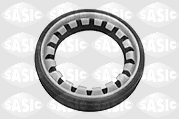 SASIC Wellendichtring, Differential 1213273 1213273 SASIC Wellendichtring, Differential SAAB Kosten