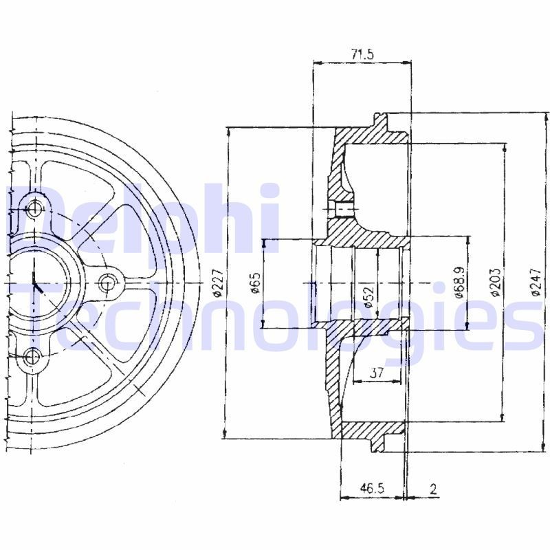 DELPHI Brake drum BF392 DELPHI BF392 PEUGEOT 106 II Box Body / Hatchback (1S) drum brake kit replacement