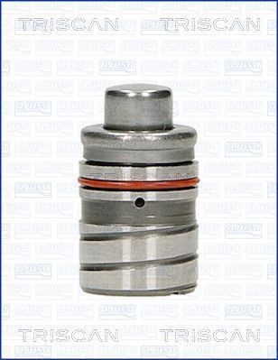 TRISCAN Poussoir hydraulique 80-50000 TRISCAN 80-50000 Poussoir hydraulique Subaru Forester SJ d'origine prix