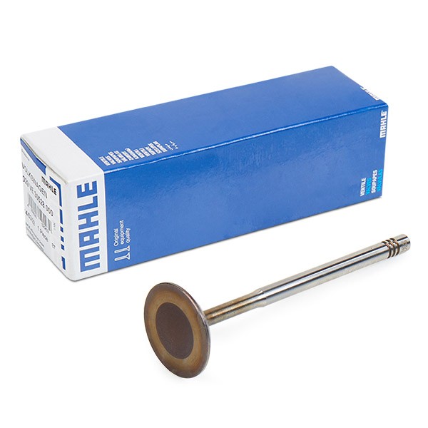 MAHLE Sisselaskeventiil 029 VE 30528 000 MAHLE 029 VE 30528 000 Sisselaskeklapp VW CC 358 odava hinnaga