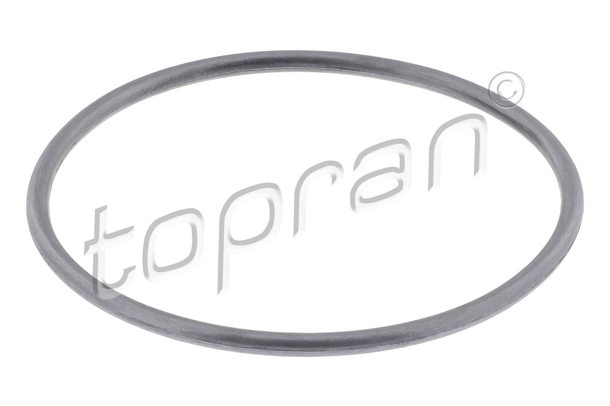 TOPRAN Pakning, vandpumpe 100 572 Vandpumpe pakning TOPRAN NUBIRA 100 572 billig