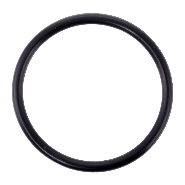 TOPRAN Gasket, thermostat 101 117 TOPRAN 101 117 Ford Mondeo MK1 GBP coolant circuit seals replacement