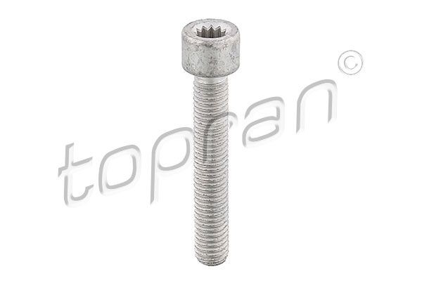 TOPRAN Skrūve, Kardānvārpstas flancis 104 306 TOPRAN 104 306 Skrūve, Kardānvārpstas flancis