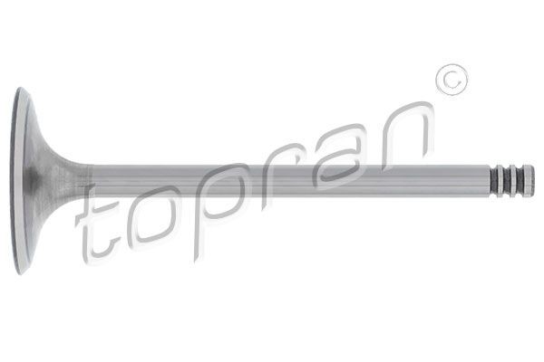 TOPRAN Valvola di aspirazione 107 554 107 554 costo Valvola di aspirazione TOPRAN FORD FIESTA