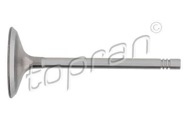 TOPRAN Indsugningsventil 109 684 TOPRAN 109684 Seat Exeo Sedan Indsugningsventil pris
