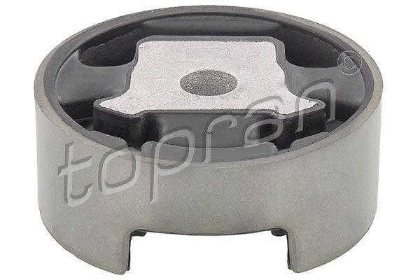 TOPRAN Motorfeste 110 134 Motor lagring TOPRAN Seat EXEO 110 134