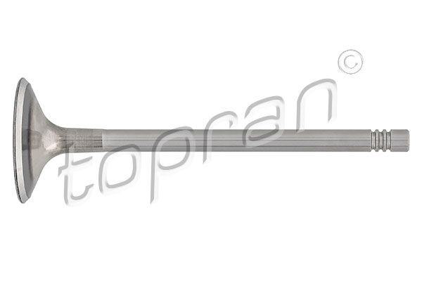 TOPRAN Sisselaskeventiil 110 203 TOPRAN 110 203 Sisselaskeklapp VW CC 358 originaal hind