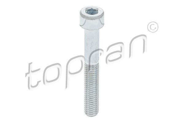 TOPRAN Bolt, brake caliper 110 707 Volkswagen POLO TOPRAN brake caliper bracket 110707